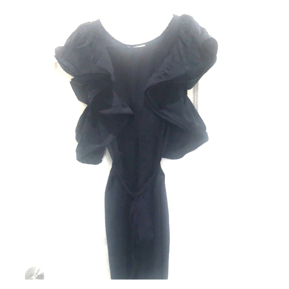 Lanvin H&M Dress
